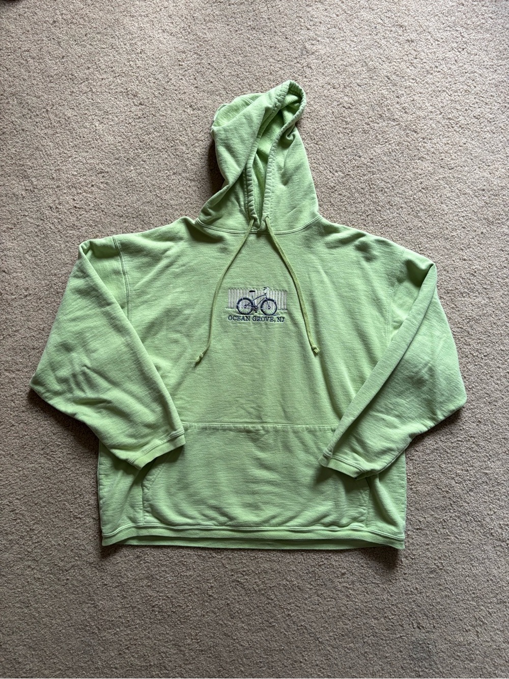 Light Green Embroidered Hoodie